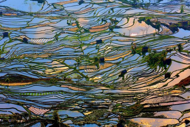暑假想去云南旅游，有哪些旅游城市可以推薦