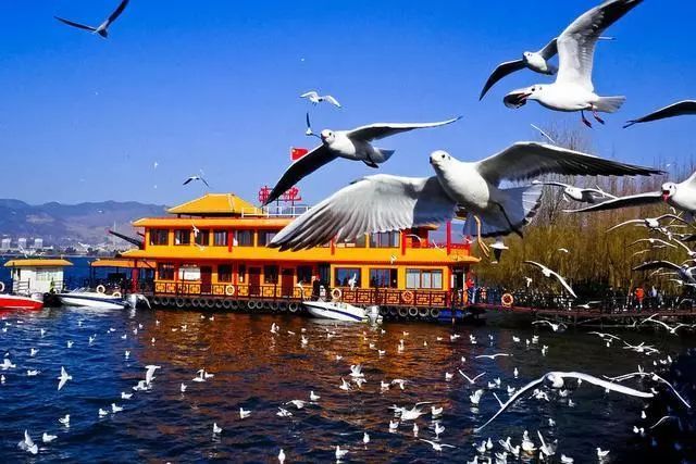 云南品質(zhì)游旅行社推薦，云南旅游選擇品質(zhì)旅游有什么優(yōu)點(diǎn)