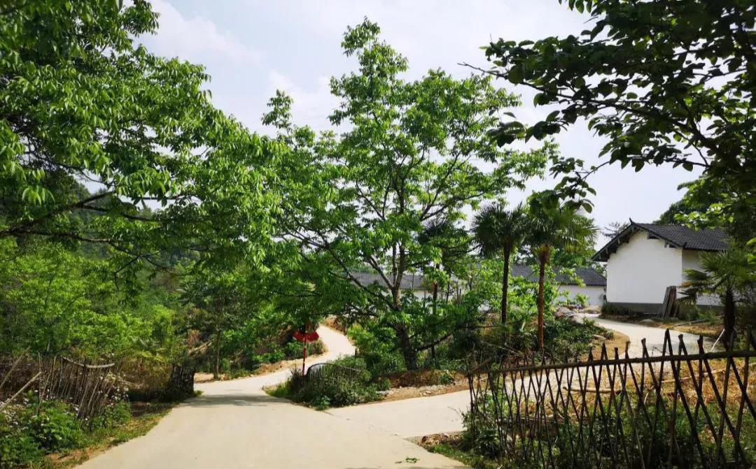 云南鄉(xiāng)村旅游，“玩”出特色！德宏：打好發(fā)展組合拳
