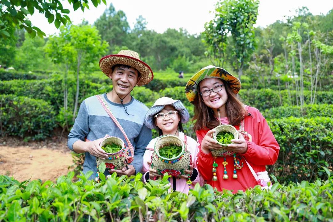什么顏色最夏天？ 當(dāng)然是郁郁蔥蔥的綠色，周末帶著孩子體驗(yàn)最盎然的綠意