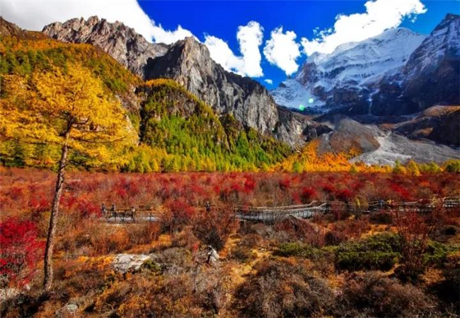 云南旅游攻略稻城亞丁的秋天， 美到炸裂了?。?！