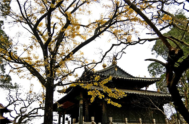 云南傳媒公司：在云南，聽說古鎮(zhèn)和秋天更配