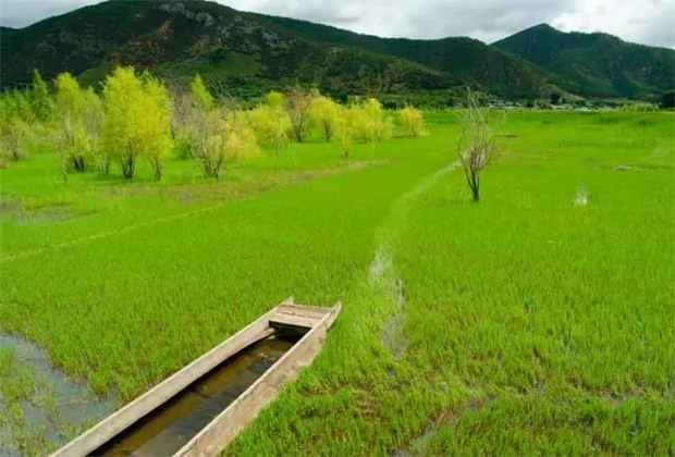 云南會展策劃：關(guān)于瀘沽湖的好風景，都想與你分享！