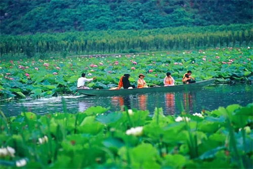 2022普者黑夏令營：山水田園，萬畝荷花游學(xué)，探訪彝族古村，感知民族文化！