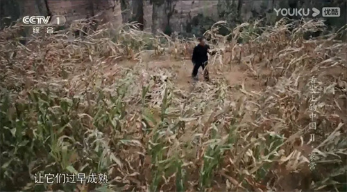 趣說人文歷史｜康乾盛世，“番薯盛世”？