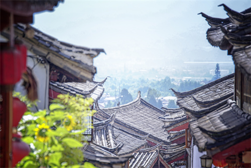 好想麗江！疫情過(guò)后到麗江，追逐色彩斑斕的春天。