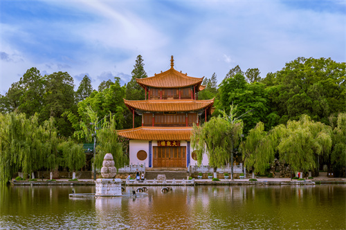 春暖四時(shí)，花開(kāi)昆明，感受春城初春之美！