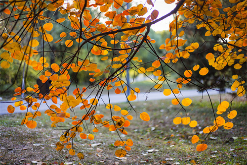 云南文創(chuàng)雪糕火出圈，“雪糕+景點(diǎn)”網(wǎng)紅式打卡驚靚一夏！
