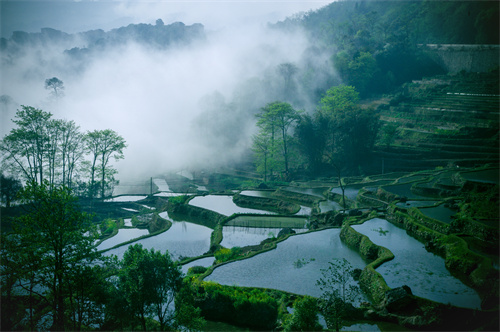 鄉(xiāng)村健康養(yǎng)生產(chǎn)業(yè)的客戶群體有哪些？它有什么開發(fā)要點(diǎn)？