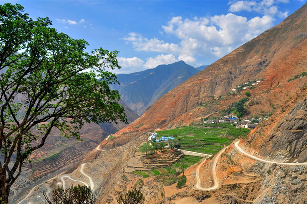 云南旅游,云南旅行社,云南團(tuán)建公司,云南會議公司,大理旅游,大理旅行社,大理團(tuán)建公司,大理會議公司：云南第一棵咖啡樹，在哪？