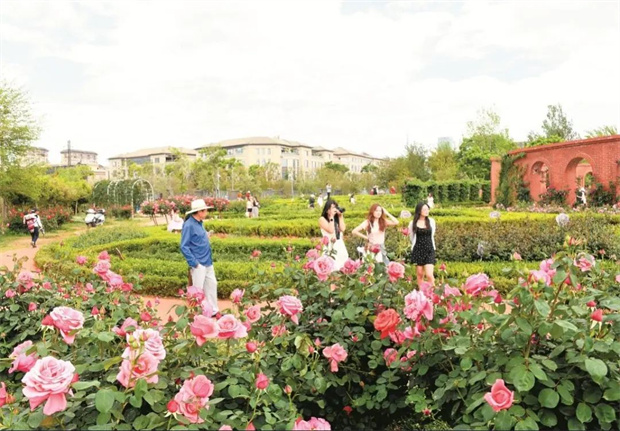 云南旅游,云南旅行社,云南團(tuán)建公司,云南策劃公司,云南會議公司,昆明旅游,昆明旅行社,昆明團(tuán)建公司,昆明策劃公司,昆明會議執(zhí)行：旅居昆明，在花海里通關(guān)四季！花歷正在更新，等你來簽收春天→